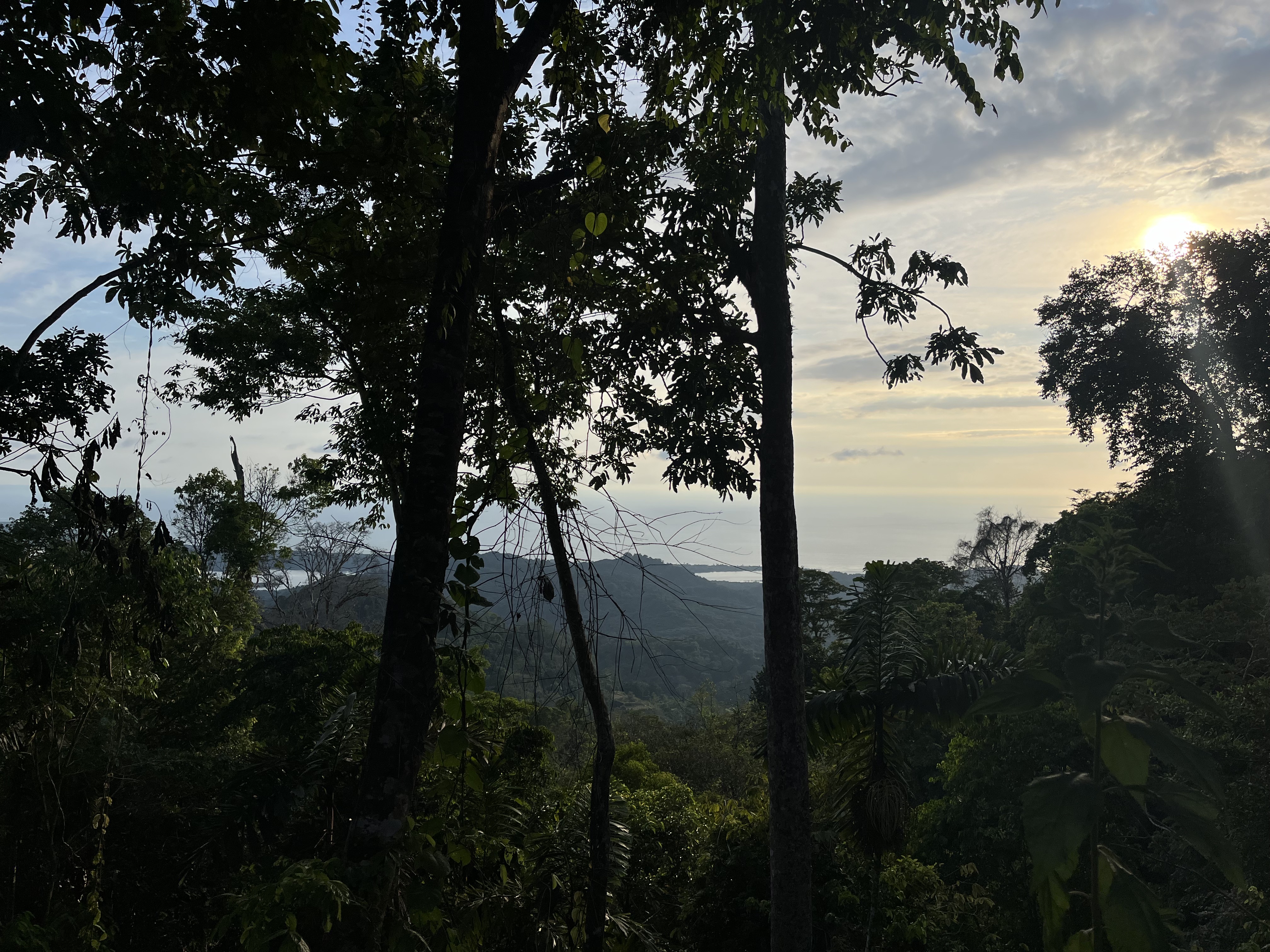 0 bed Land For Sale in Ojochal, Puntarenas - thumb 6