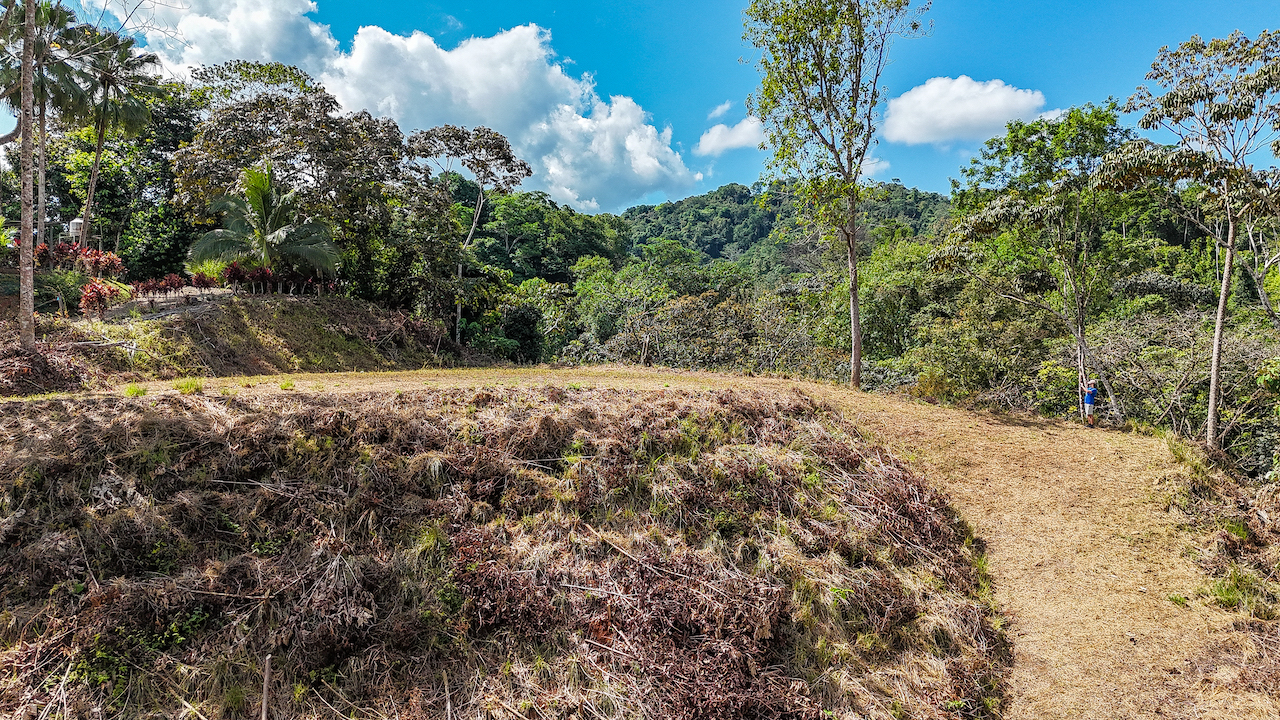 0 bed Land For Sale in Ojochal, Puntarenas - thumb 10