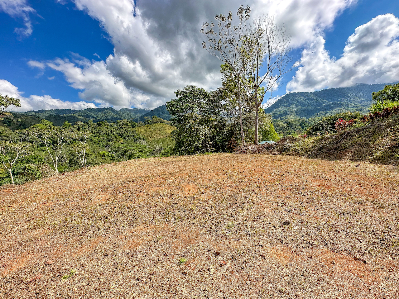 0 bed Land For Sale in Ojochal, Puntarenas - thumb 16