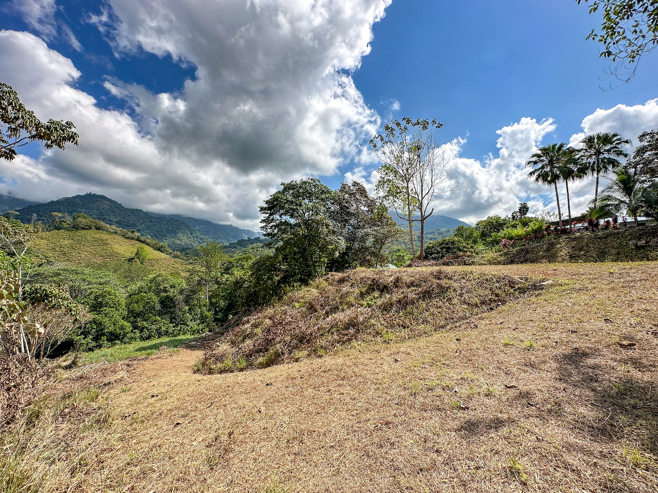 0 bed Land For Sale in Ojochal, Puntarenas - thumb 19