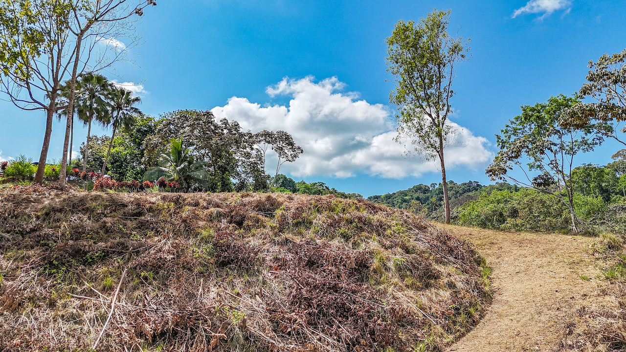 0 bed Land For Sale in Ojochal, Puntarenas - thumb 15