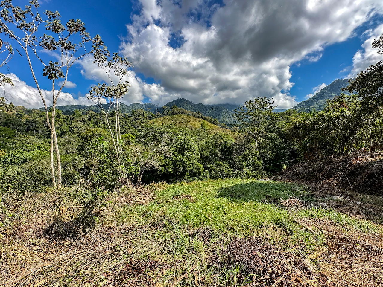 0 bed Land For Sale in Ojochal, Puntarenas - thumb 18