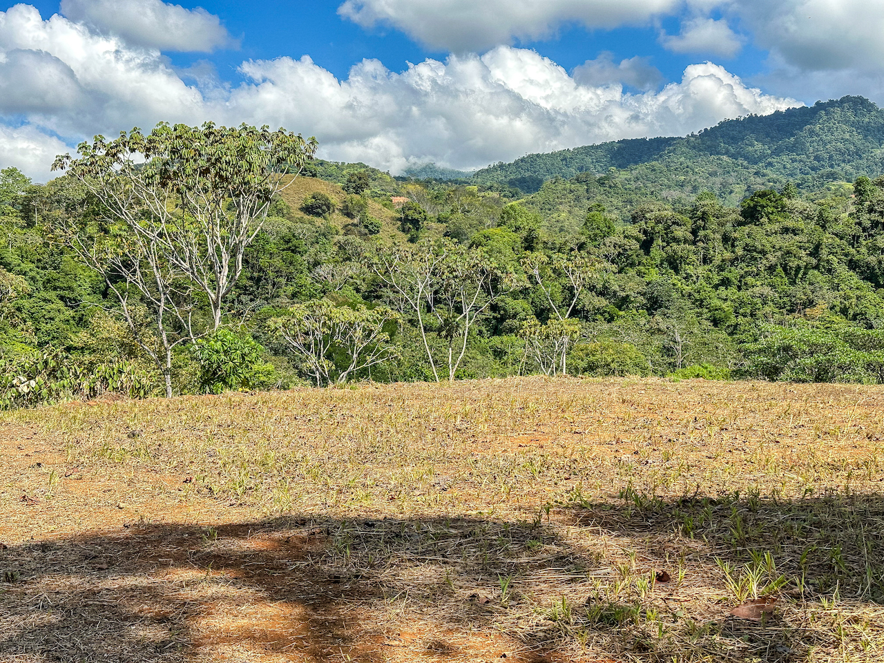 0 bed Land For Sale in Ojochal, Puntarenas - thumb 23