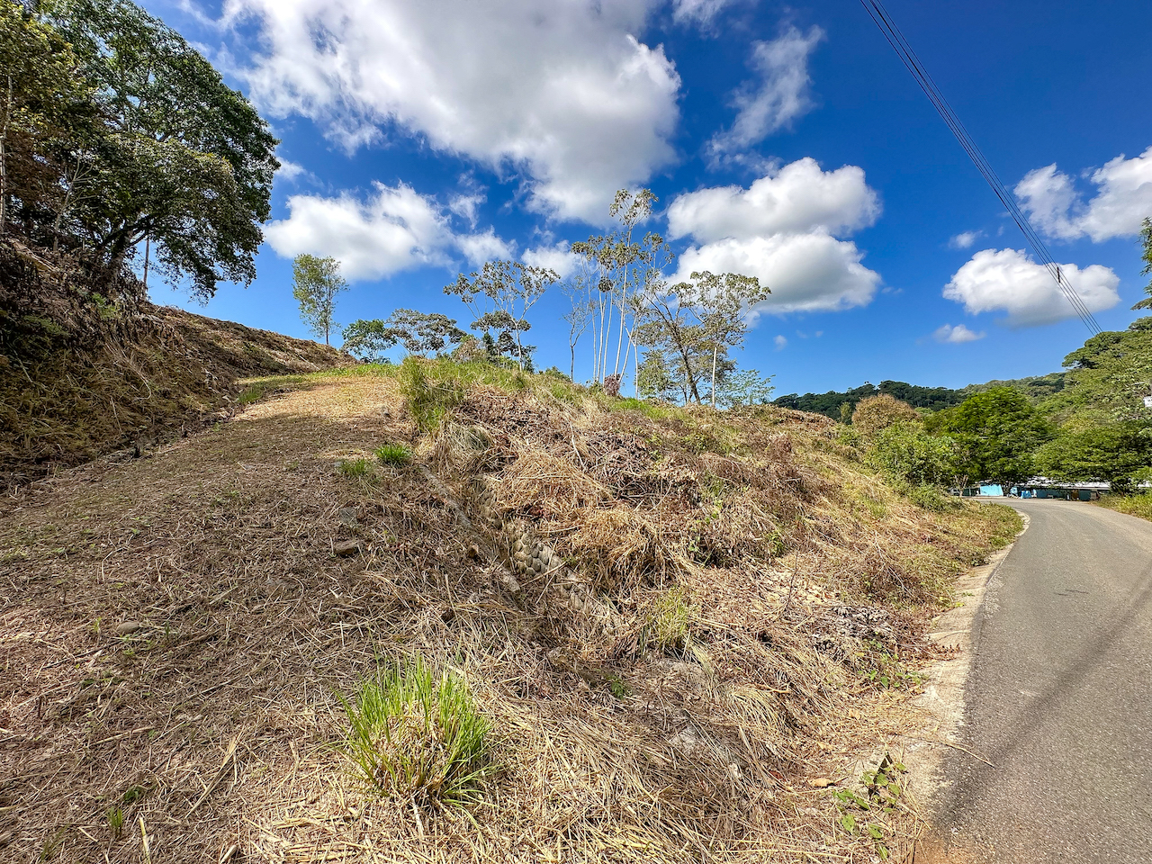 0 bed Land For Sale in Ojochal, Puntarenas - thumb 24