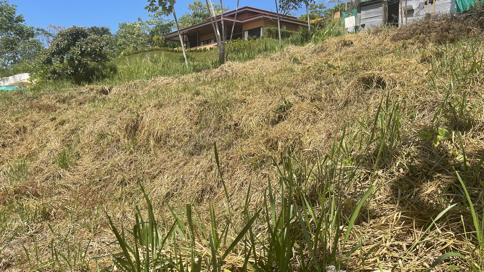 0 bed Land For Sale in Ojochal, Puntarenas - thumb 17