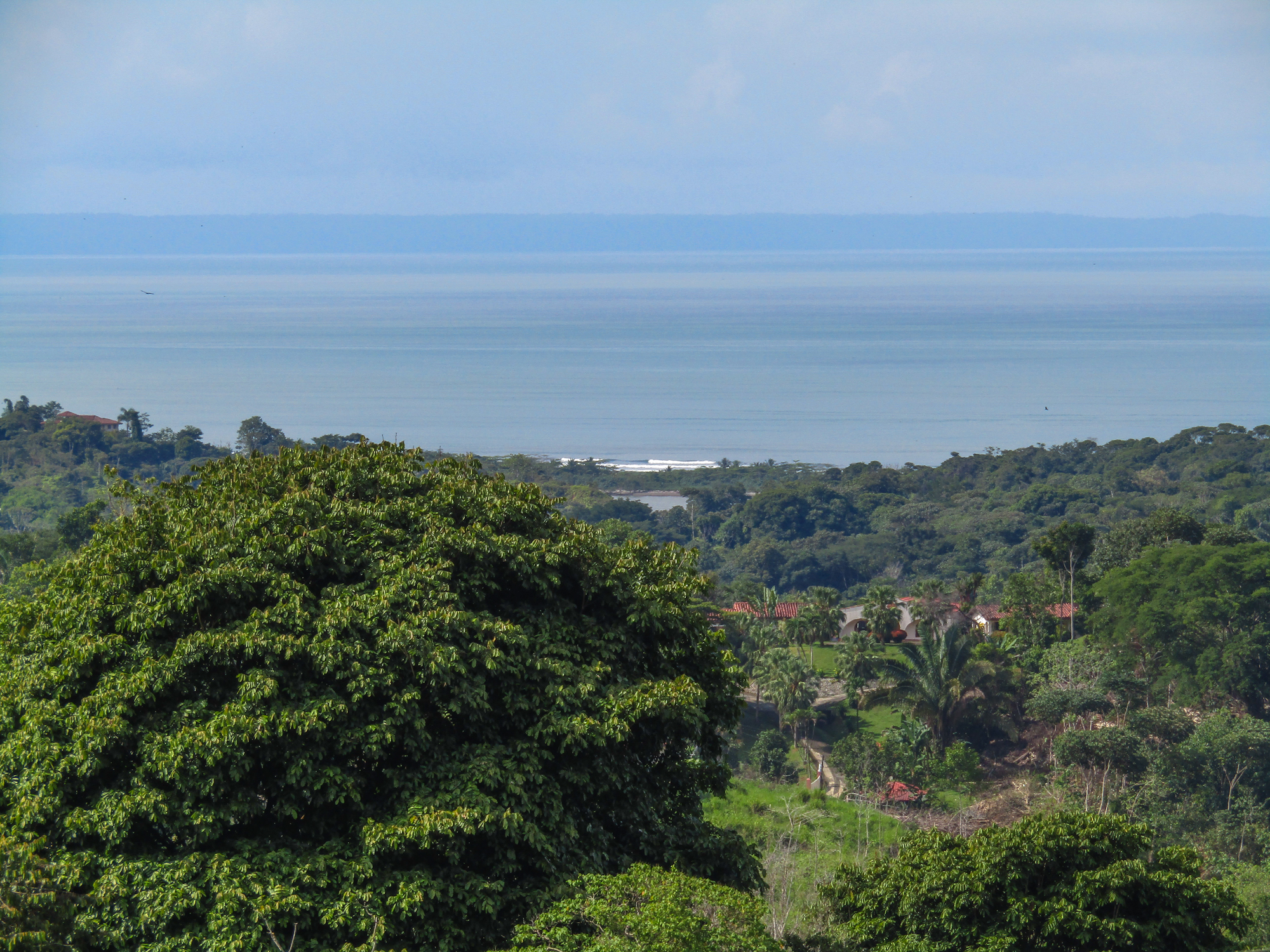 0 bed Land For Sale in Ojochal, Puntarenas - thumb 1