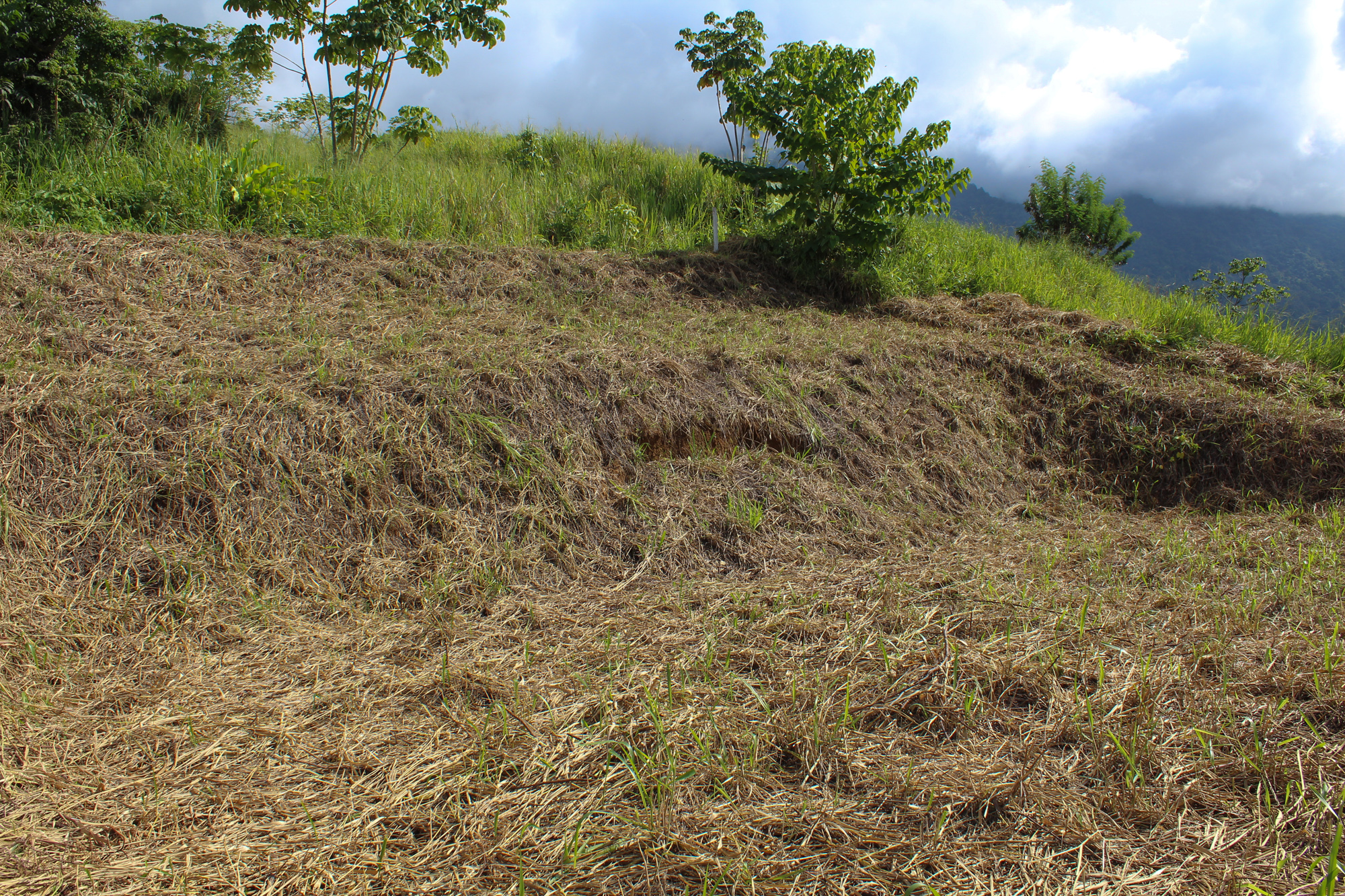 0 bed Land For Sale in Ojochal, Puntarenas - thumb 10