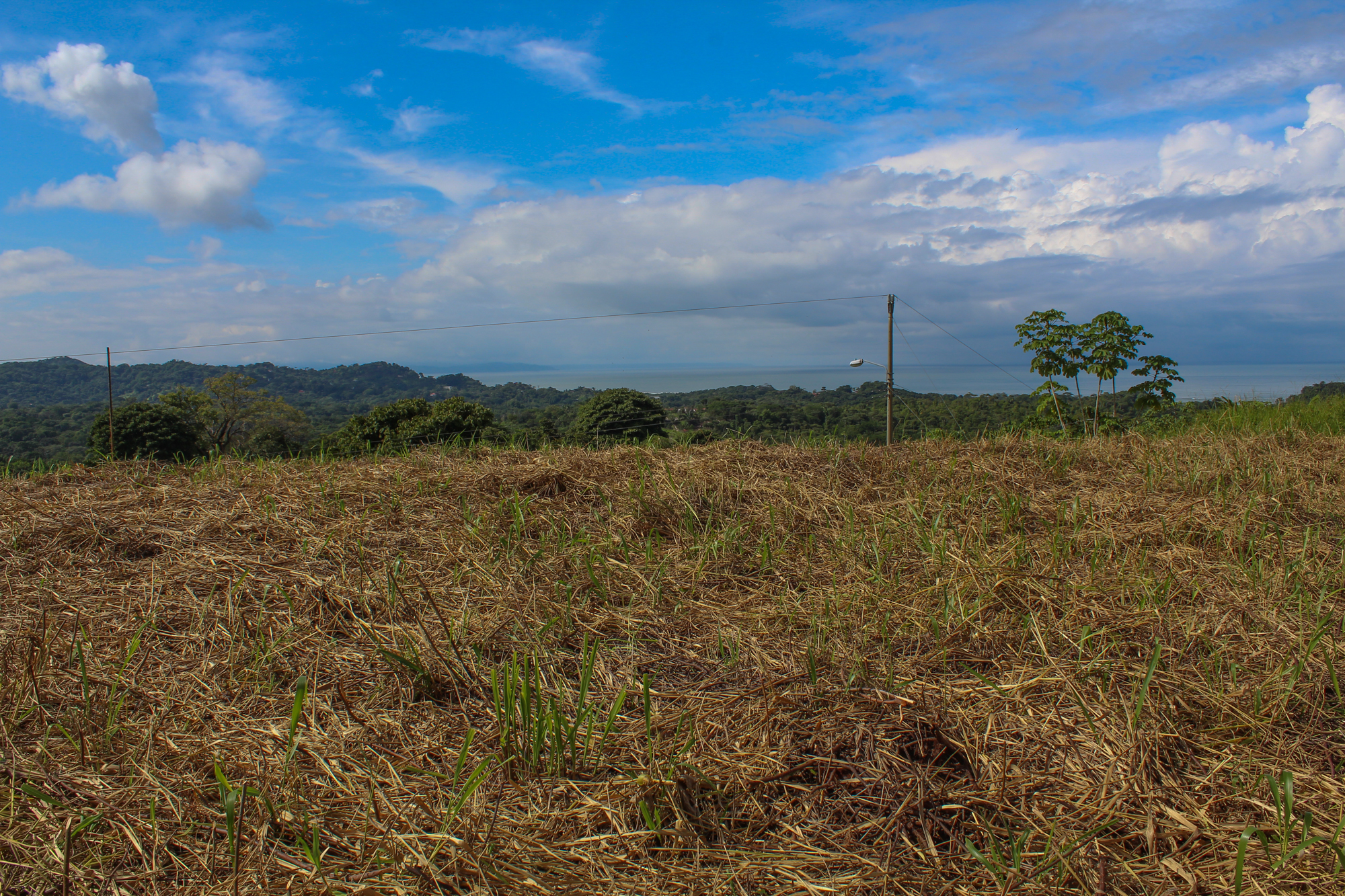 0 bed Land For Sale in Ojochal, Puntarenas - thumb 14
