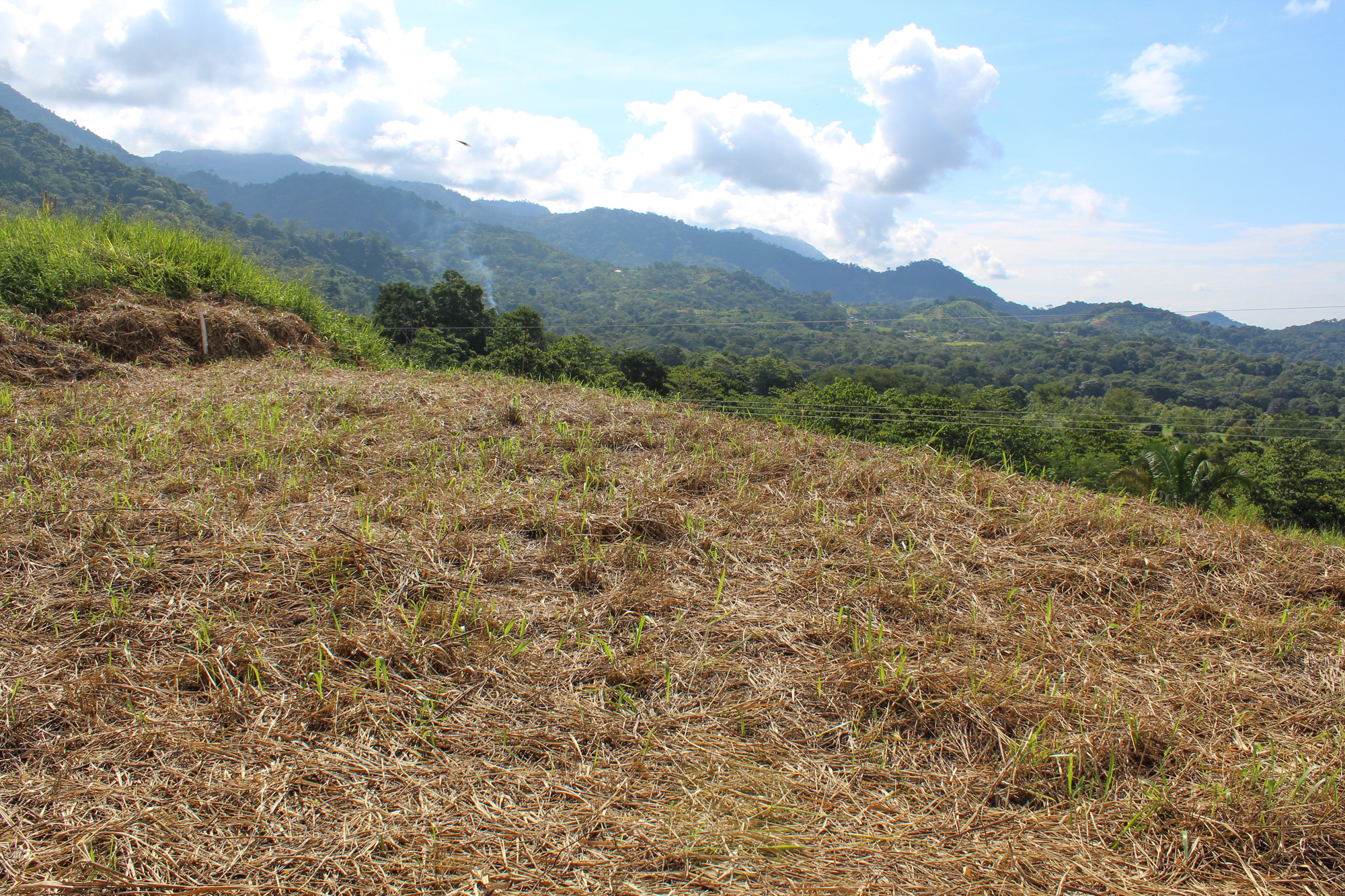 0 bed Land For Sale in Ojochal, Puntarenas - thumb 11