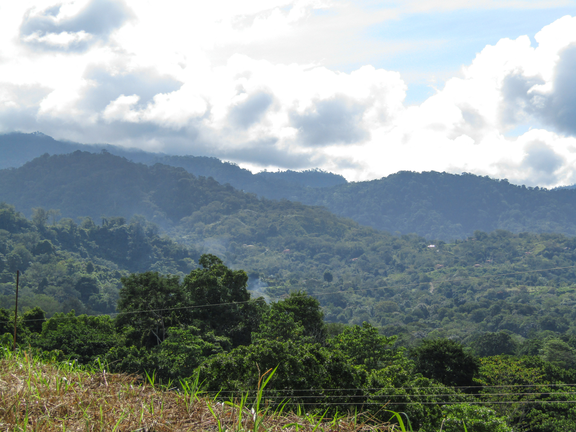 0 bed Land For Sale in Ojochal, Puntarenas - thumb 4