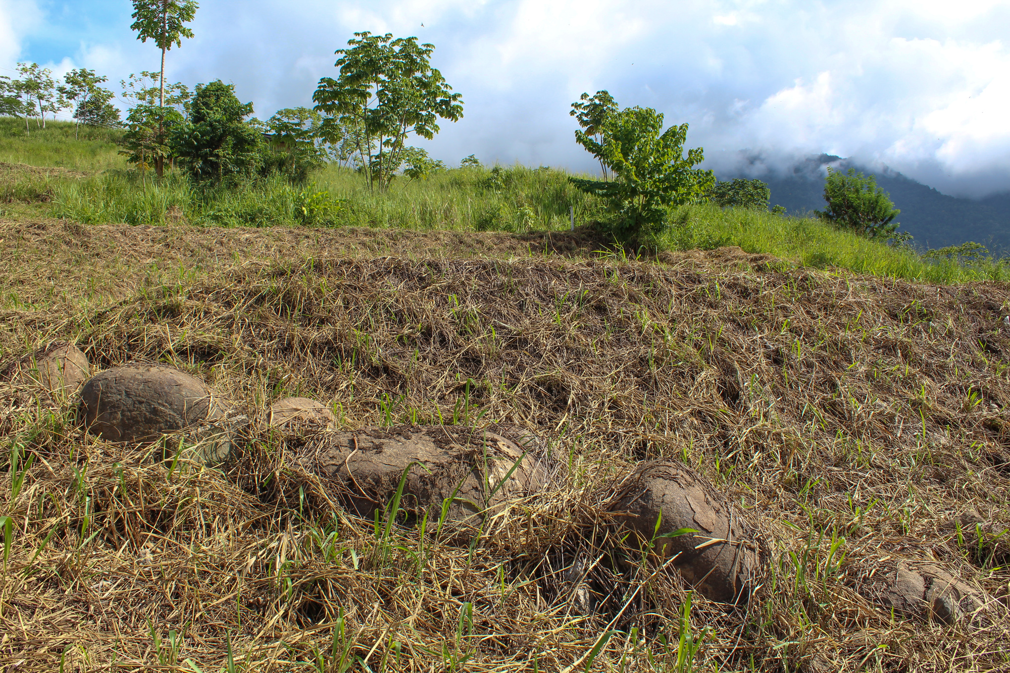 0 bed Land For Sale in Ojochal, Puntarenas - thumb 9