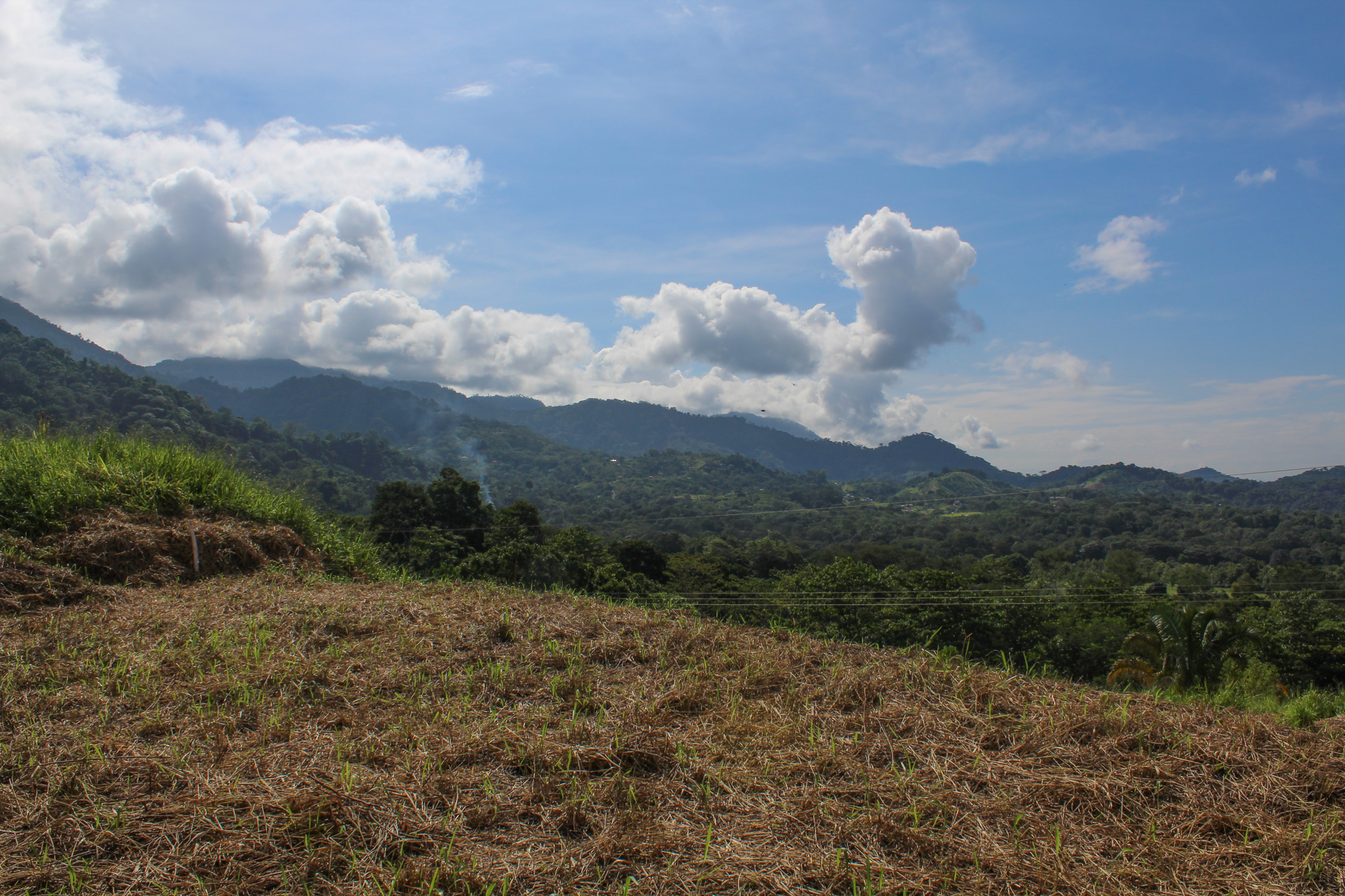 0 bed Land For Sale in Ojochal, Puntarenas - thumb 12