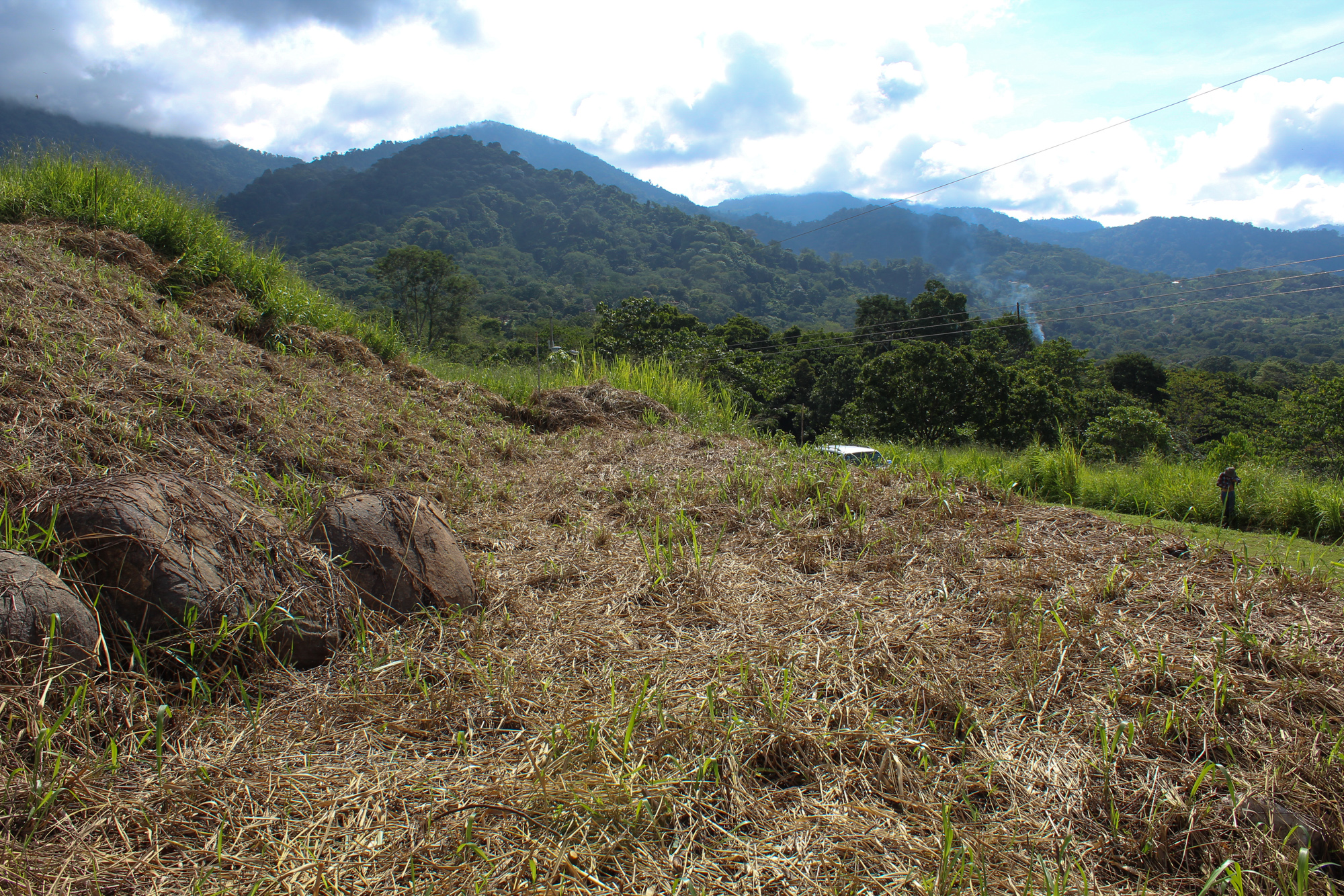 0 bed Land For Sale in Ojochal, Puntarenas - thumb 8