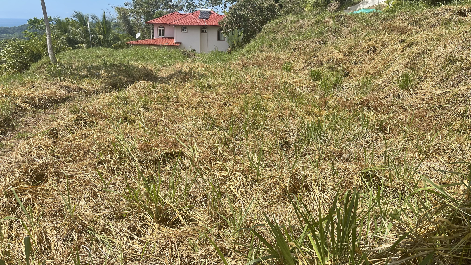 0 bed Land For Sale in Ojochal, Puntarenas - thumb 16