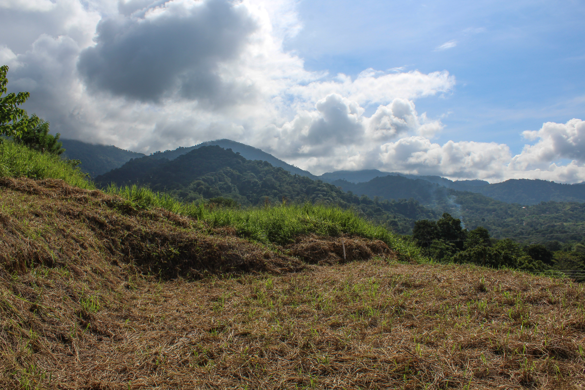 0 bed Land For Sale in Ojochal, Puntarenas - thumb 13
