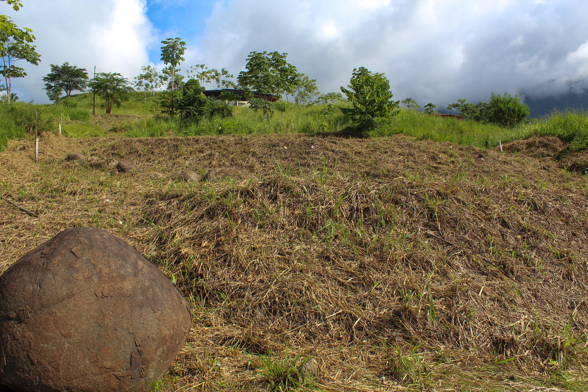 0 bed Land For Sale in Ojochal, Puntarenas - thumb 7