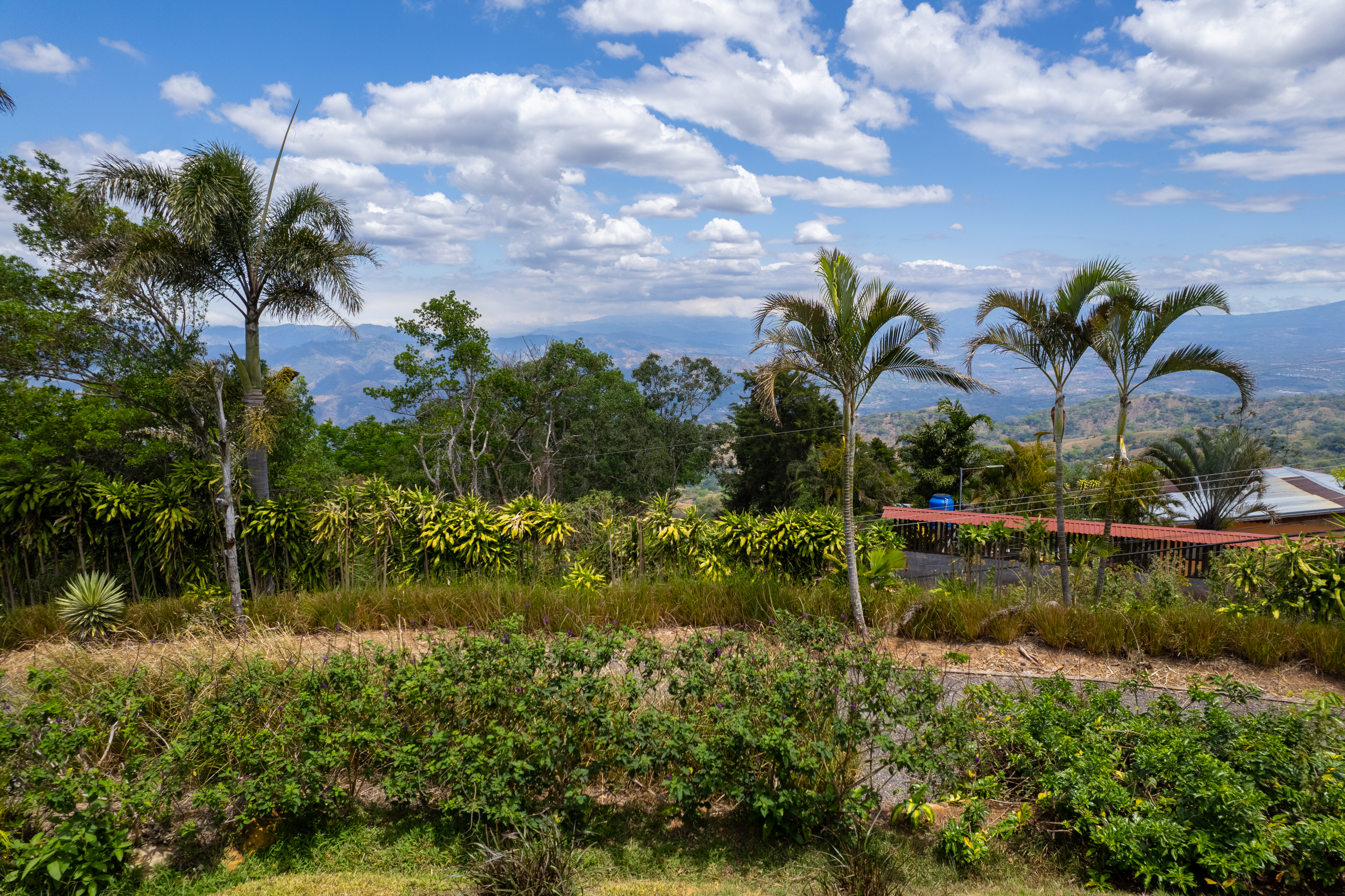 2 bed Single Family Homes For Sale in Puriscal, San Jose - thumb 21