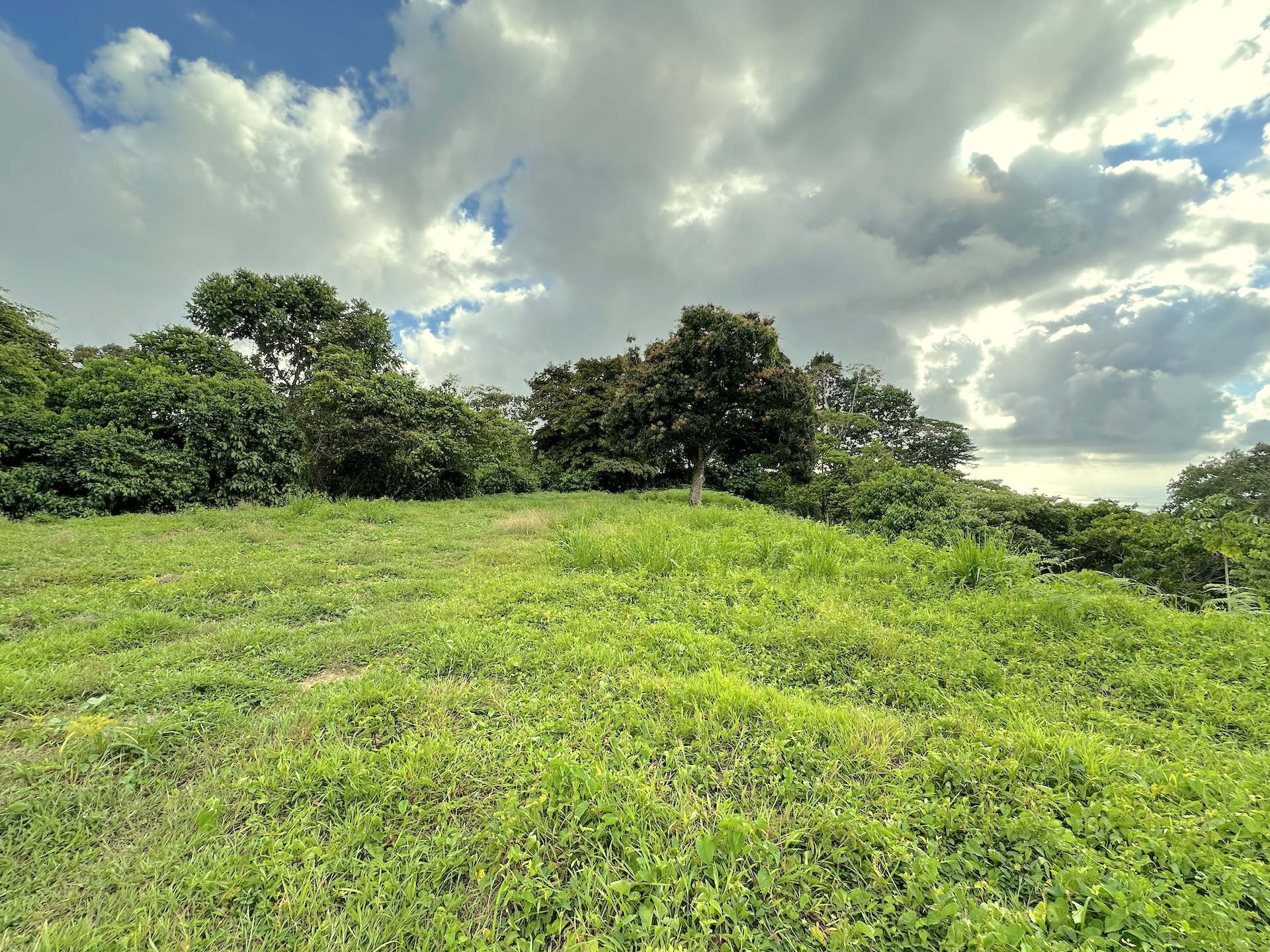 0 bed Land For Sale in Ojochal, Puntarenas - thumb 16