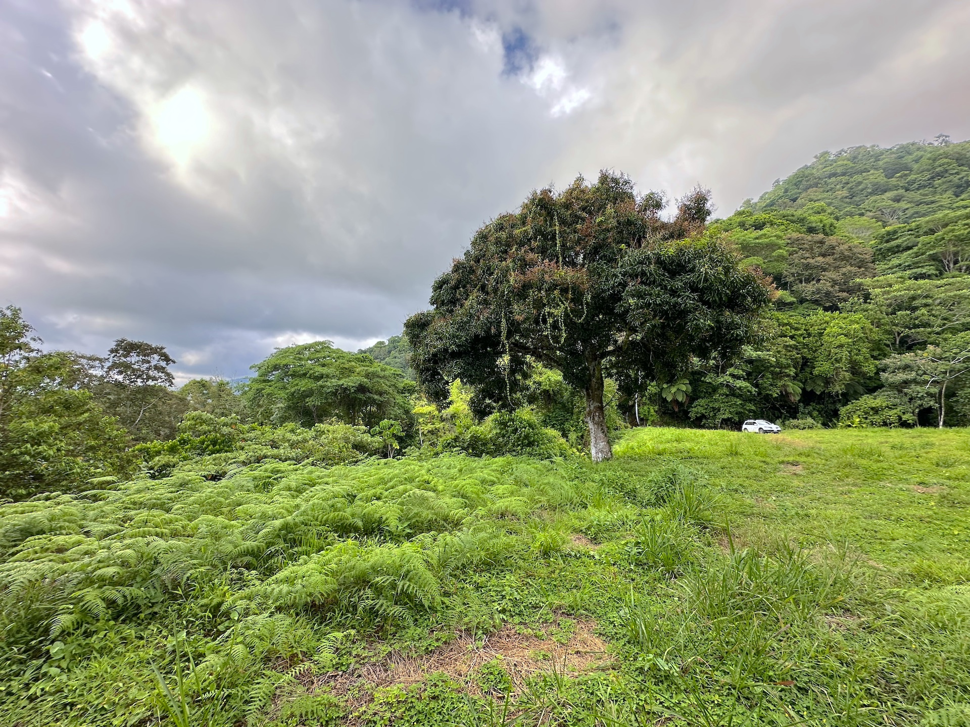 0 bed Land For Sale in Ojochal, Puntarenas - thumb 1