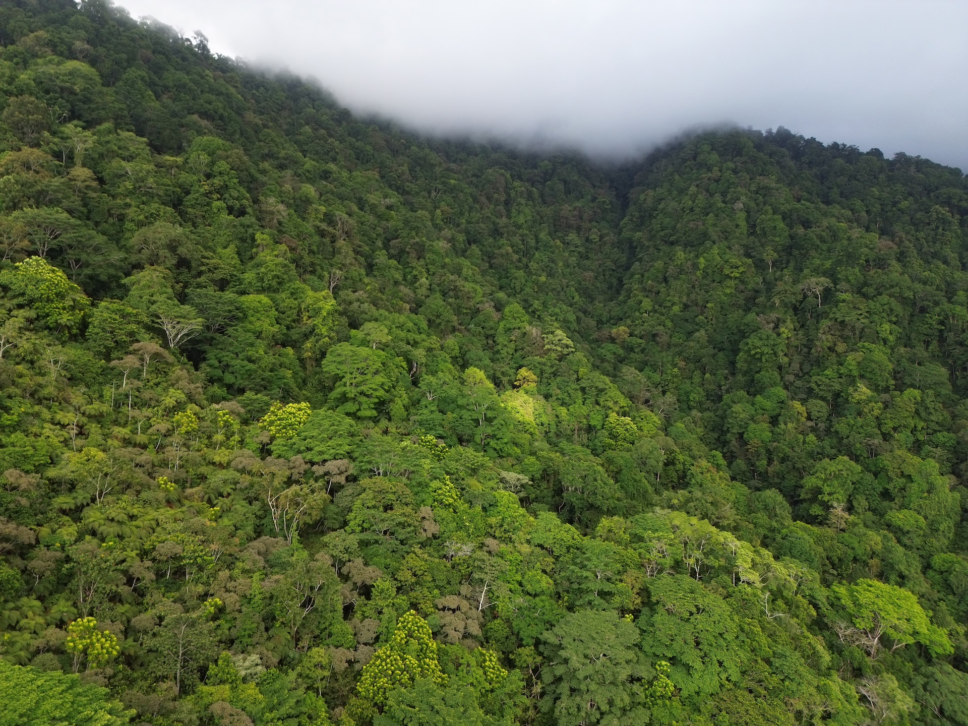 0 bed Land For Sale in Ojochal, Puntarenas - thumb 10