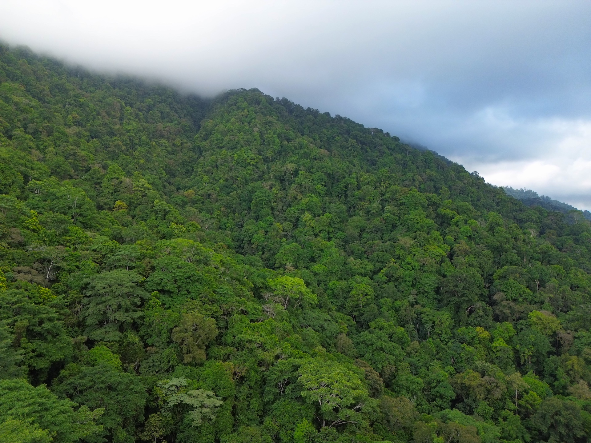 0 bed Land For Sale in Ojochal, Puntarenas - thumb 6