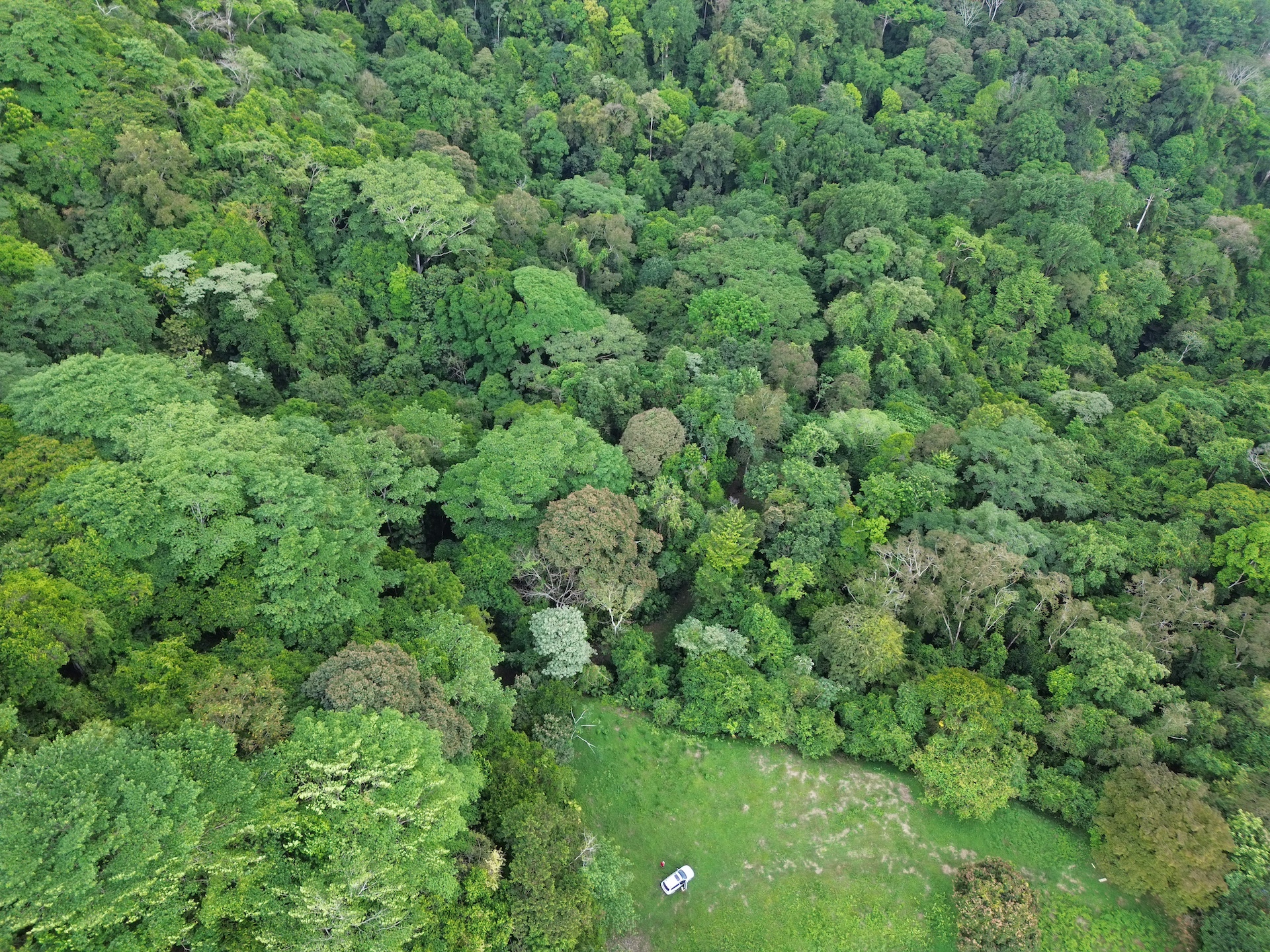 0 bed Land For Sale in Ojochal, Puntarenas - thumb 3