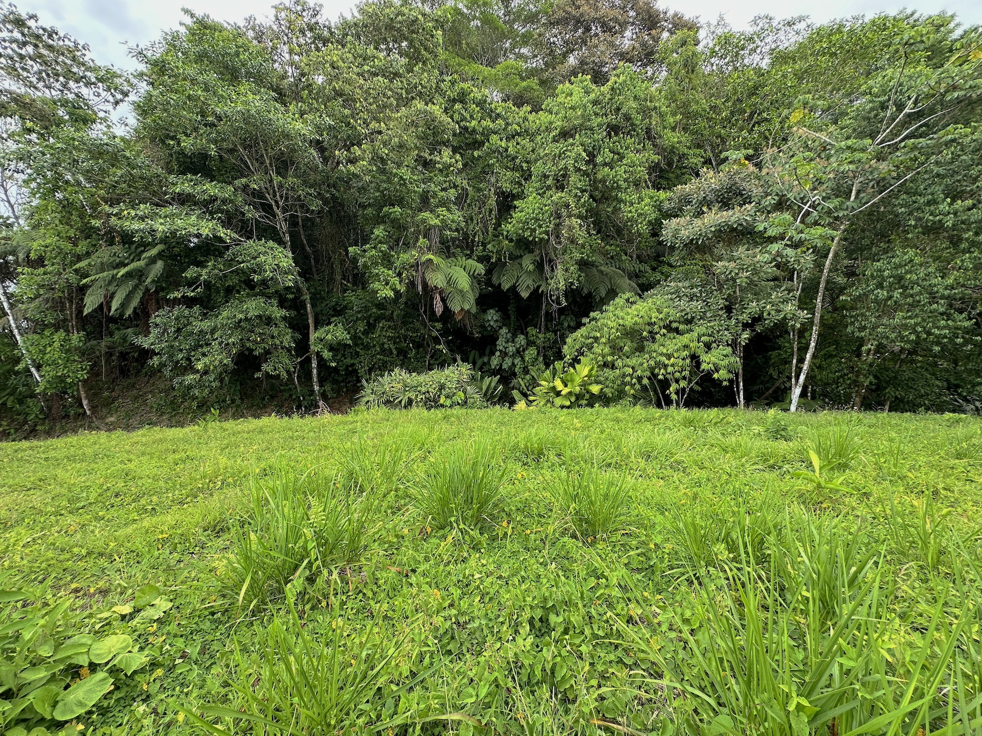0 bed Land For Sale in Ojochal, Puntarenas - thumb 11
