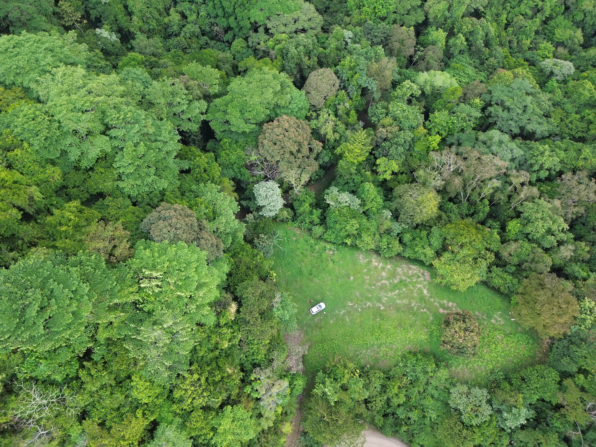 0 bed Land For Sale in Ojochal, Puntarenas - thumb 8