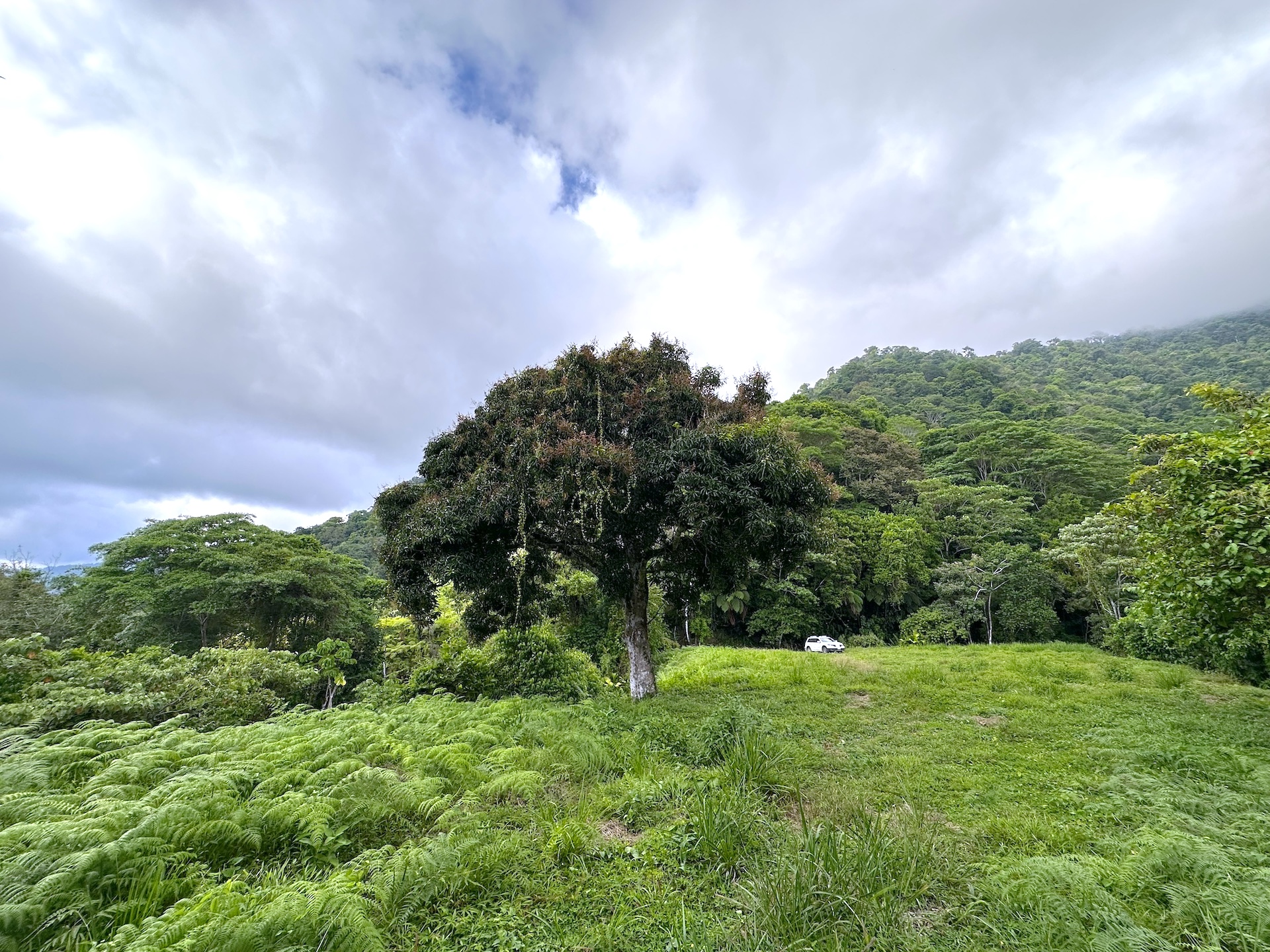 0 bed Land For Sale in Ojochal, Puntarenas - thumb 15