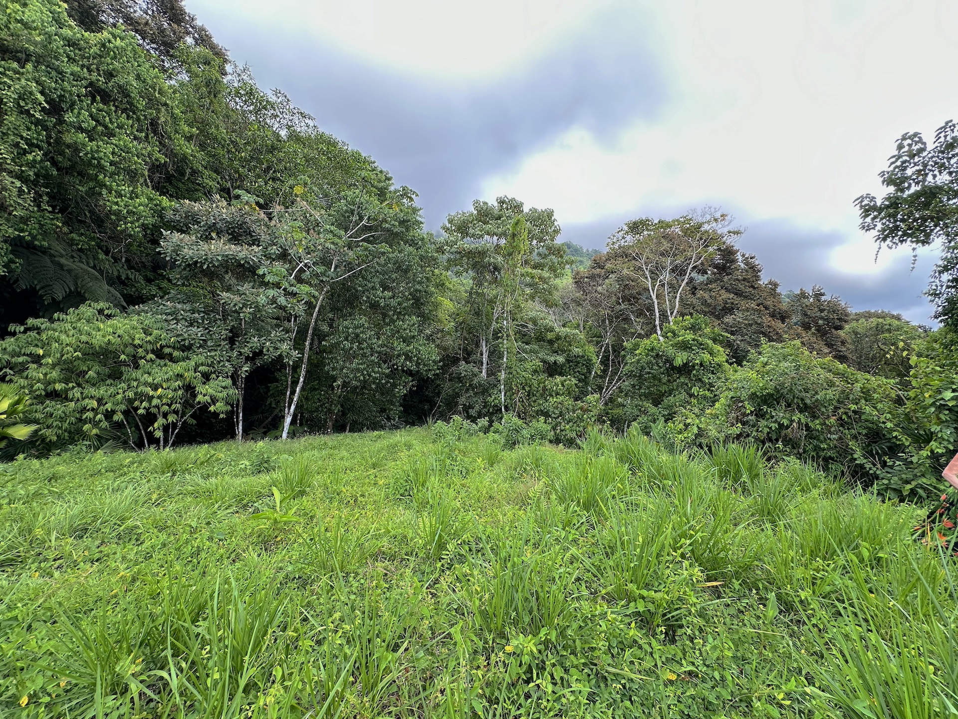 0 bed Land For Sale in Ojochal, Puntarenas - thumb 13