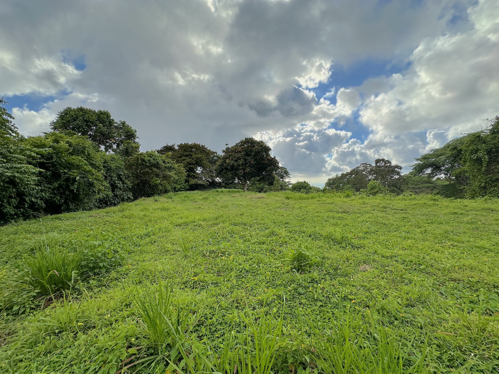 0 bed Land For Sale in Ojochal, Puntarenas - thumb 7