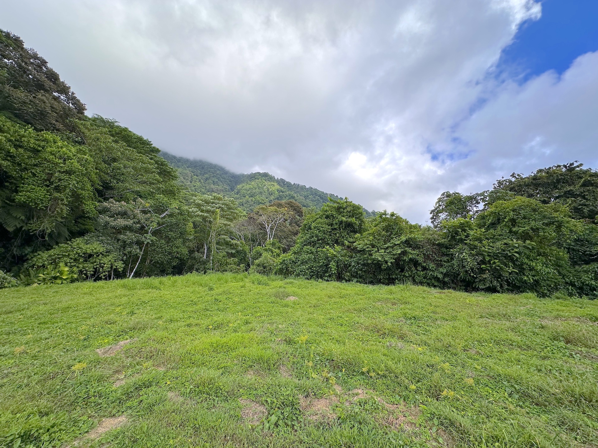 0 bed Land For Sale in Ojochal, Puntarenas - thumb 17