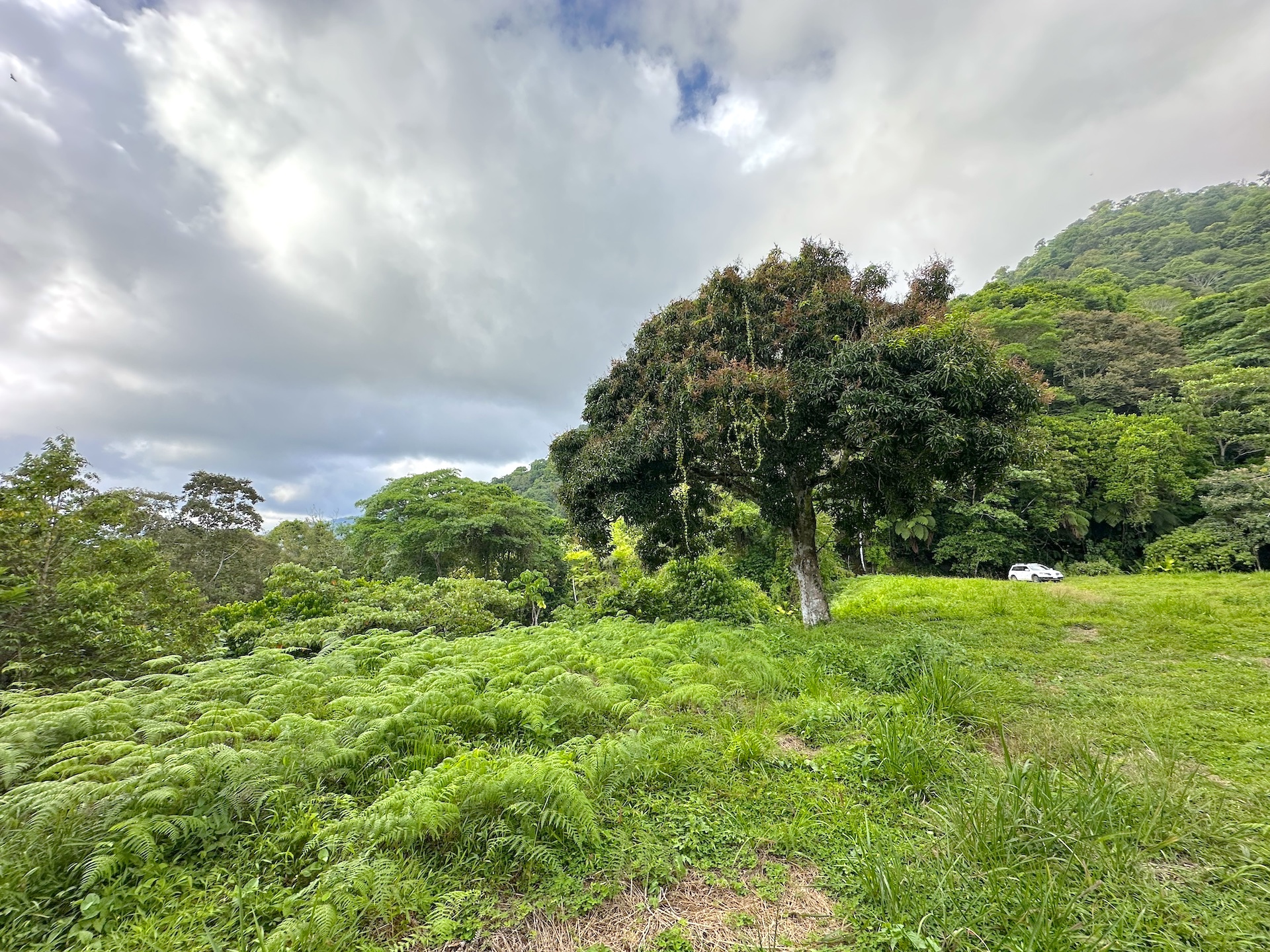 0 bed Land For Sale in Ojochal, Puntarenas - thumb 18