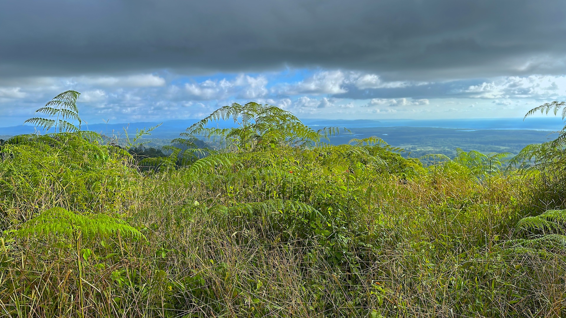 0 bed Land For Sale in Ojochal, Puntarenas - thumb 14