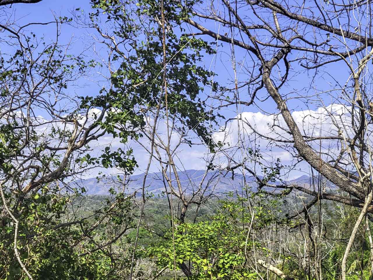 2 bed Single Family Homes For Sale in Samara, Guanacaste - thumb 4