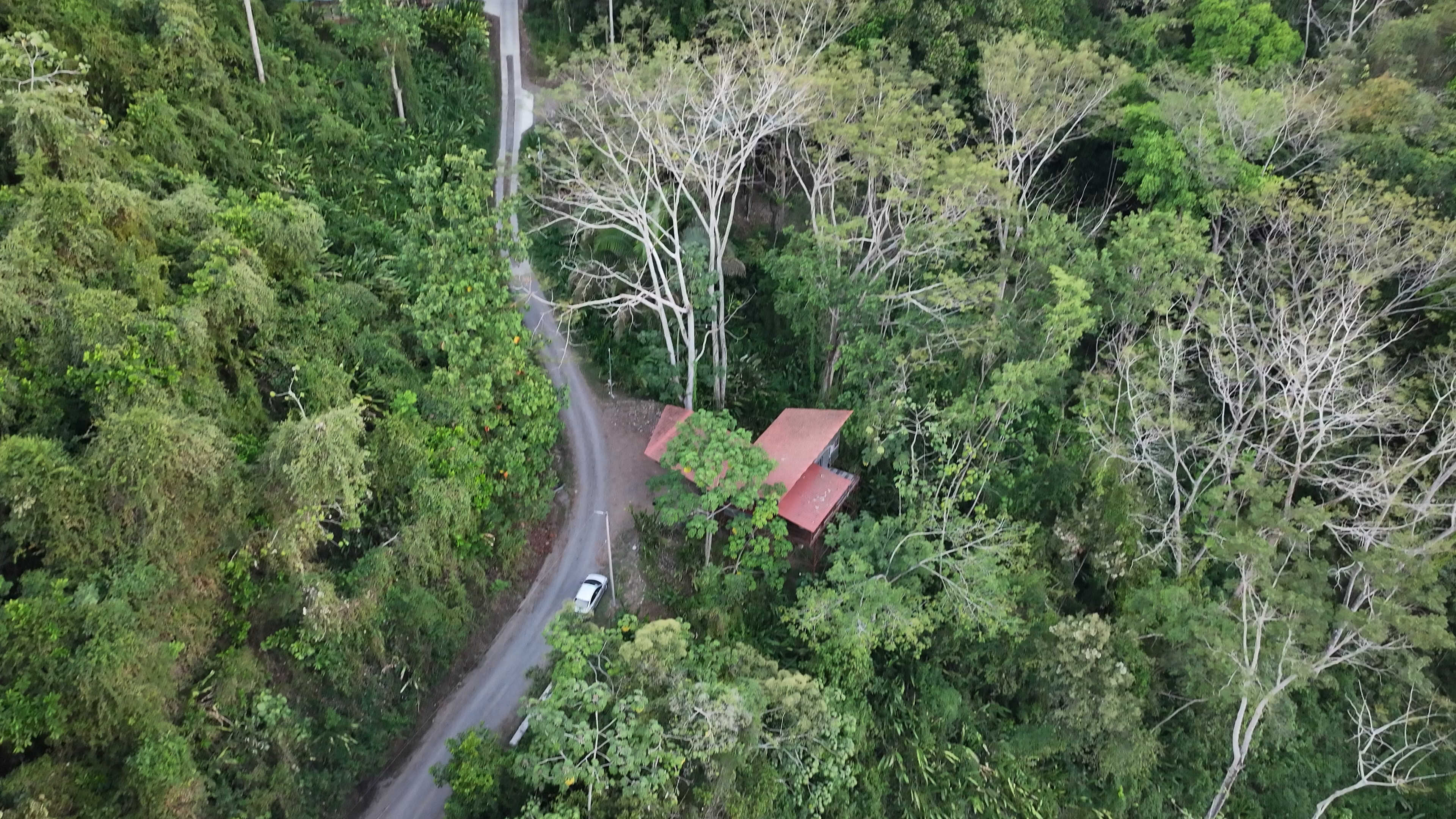 1 bed Single Family Homes For Sale in Parrita, Puntarenas - thumb 1