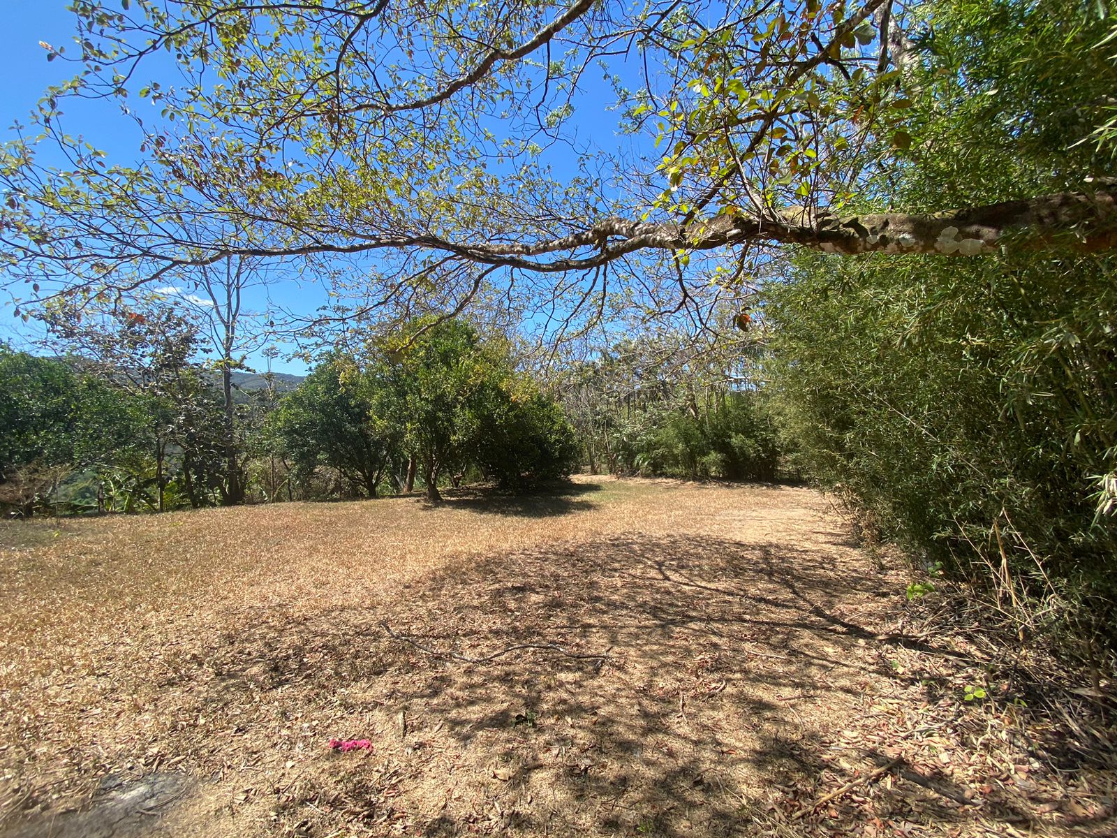 0 bed Land For Sale in Brasil De Mora, San Jose - thumb 3