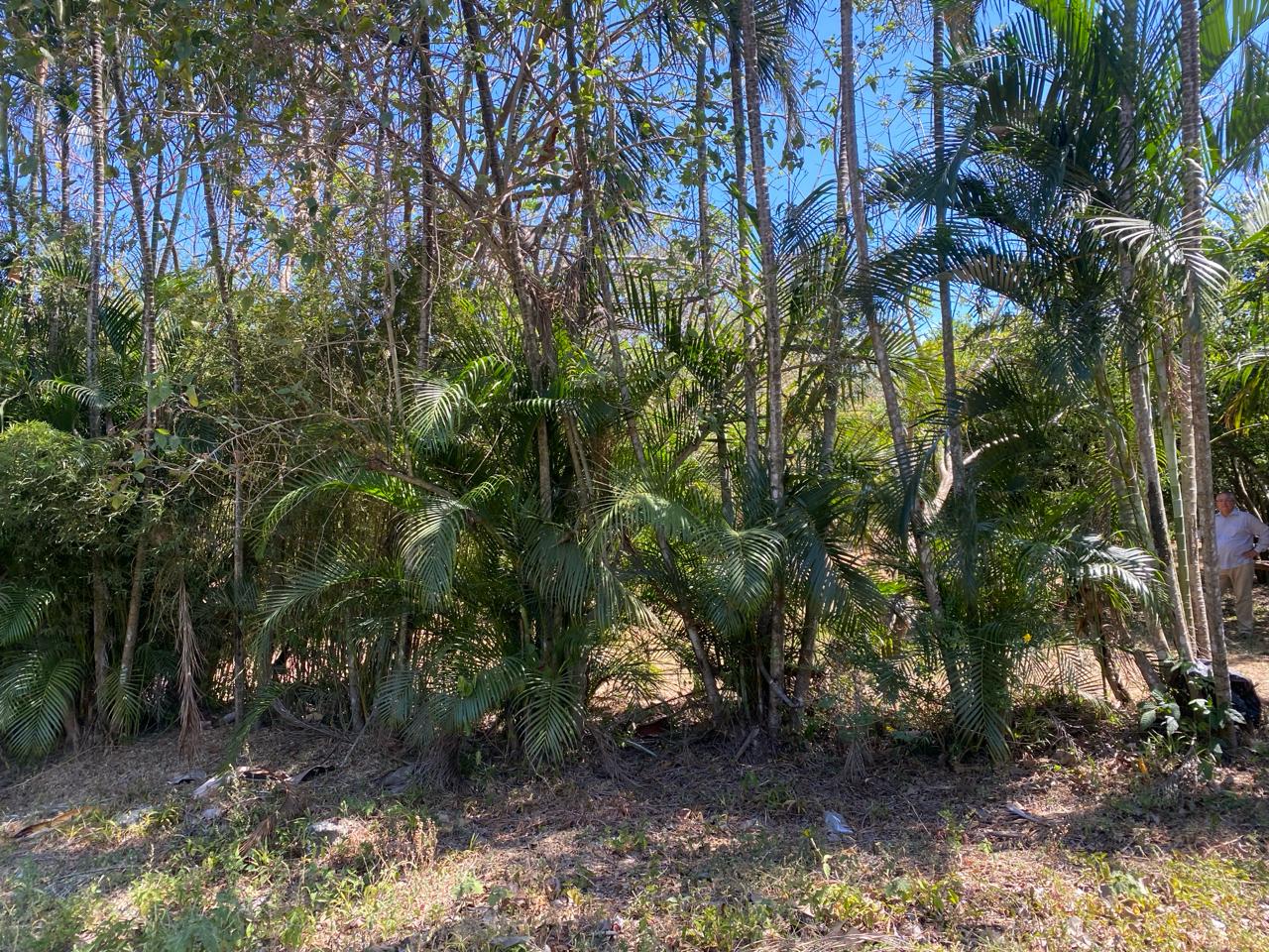 0 bed Land For Sale in Brasil De Mora, San Jose - thumb 2