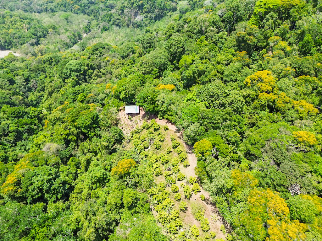 1 bed Single Family Homes For Sale in Dominical, Puntarenas - thumb 8