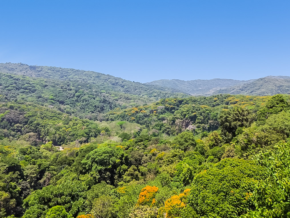 1 bed Single Family Homes For Sale in Dominical, Puntarenas - thumb 15