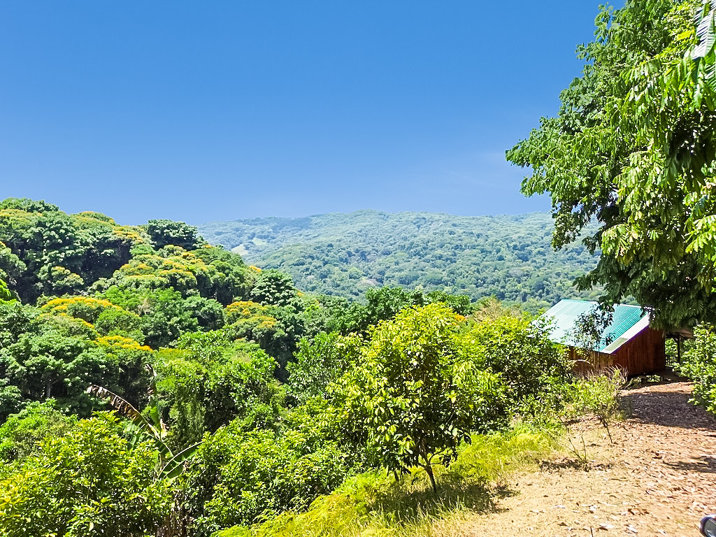 1 bed Single Family Homes For Sale in Dominical, Puntarenas - thumb 5