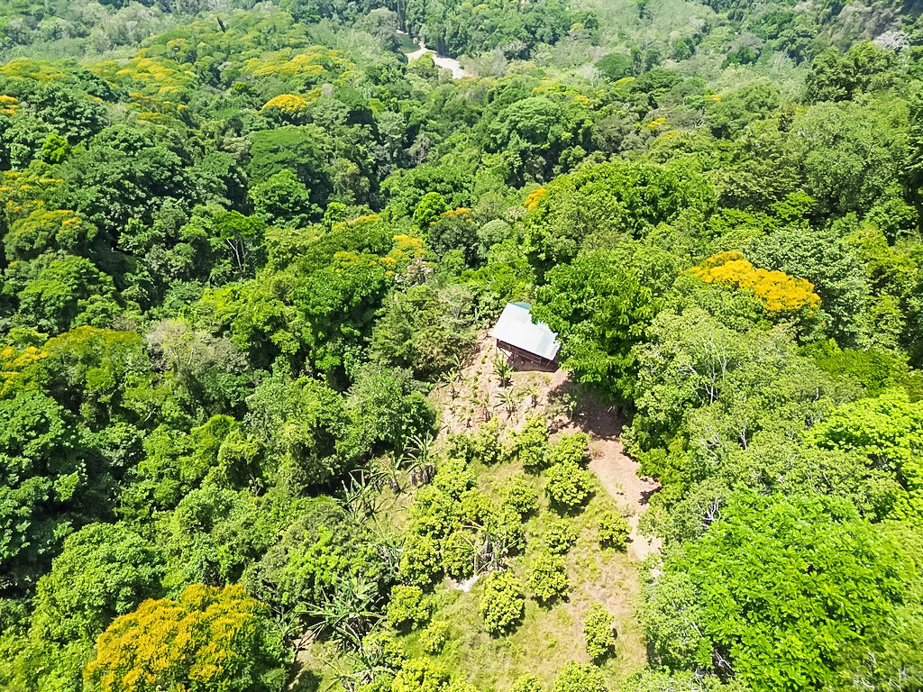 1 bed Single Family Homes For Sale in Dominical, Puntarenas - thumb 2