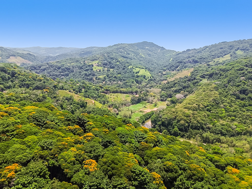 1 bed Single Family Homes For Sale in Dominical, Puntarenas - thumb 13