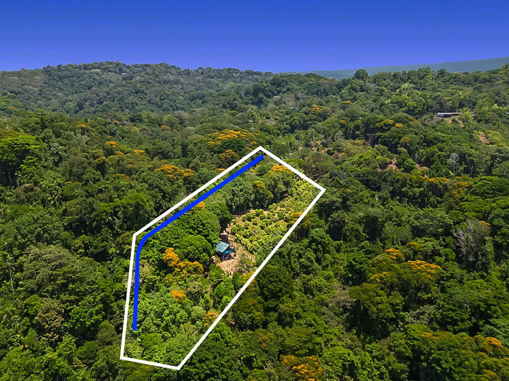 1 bed Single Family Homes For Sale in Dominical, Puntarenas - thumb 7