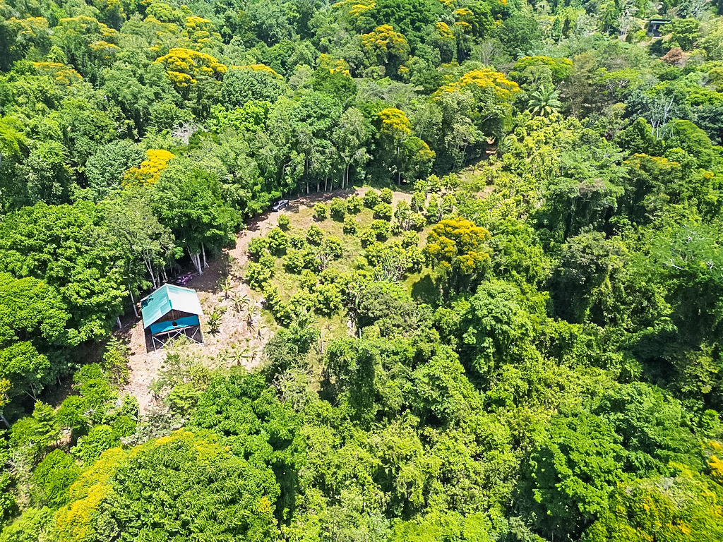 1 bed Single Family Homes For Sale in Dominical, Puntarenas - thumb 4