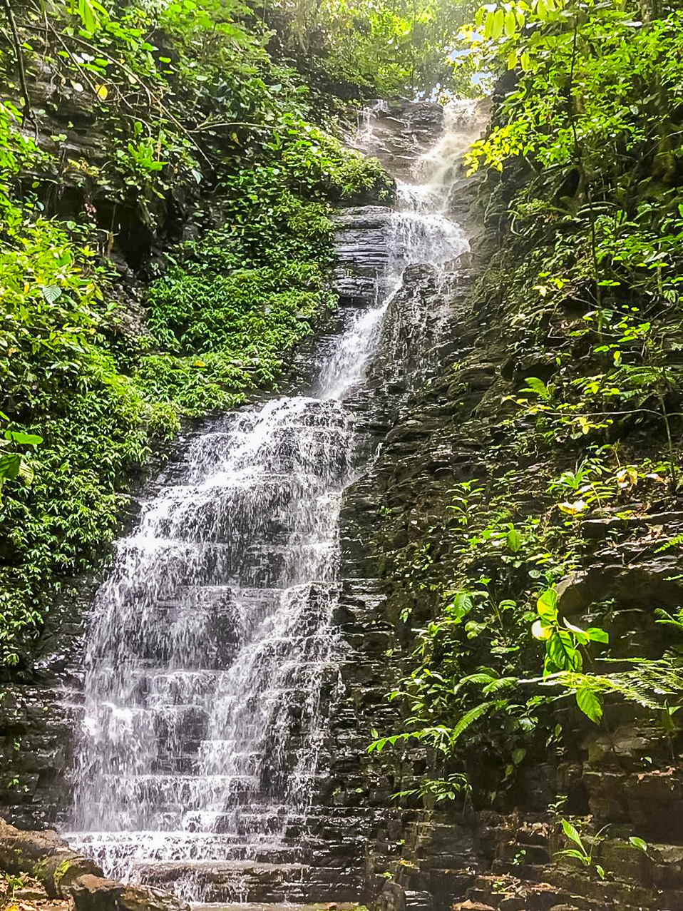 1 bed Single Family Homes For Sale in Dominical, Puntarenas - thumb 6