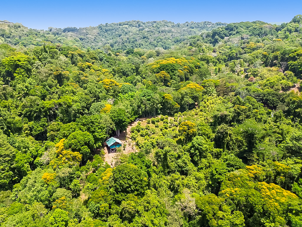 1 bed Single Family Homes For Sale in Dominical, Puntarenas - thumb 12