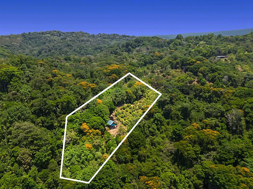 1 bed Single Family Homes For Sale in Dominical, Puntarenas - thumb 1