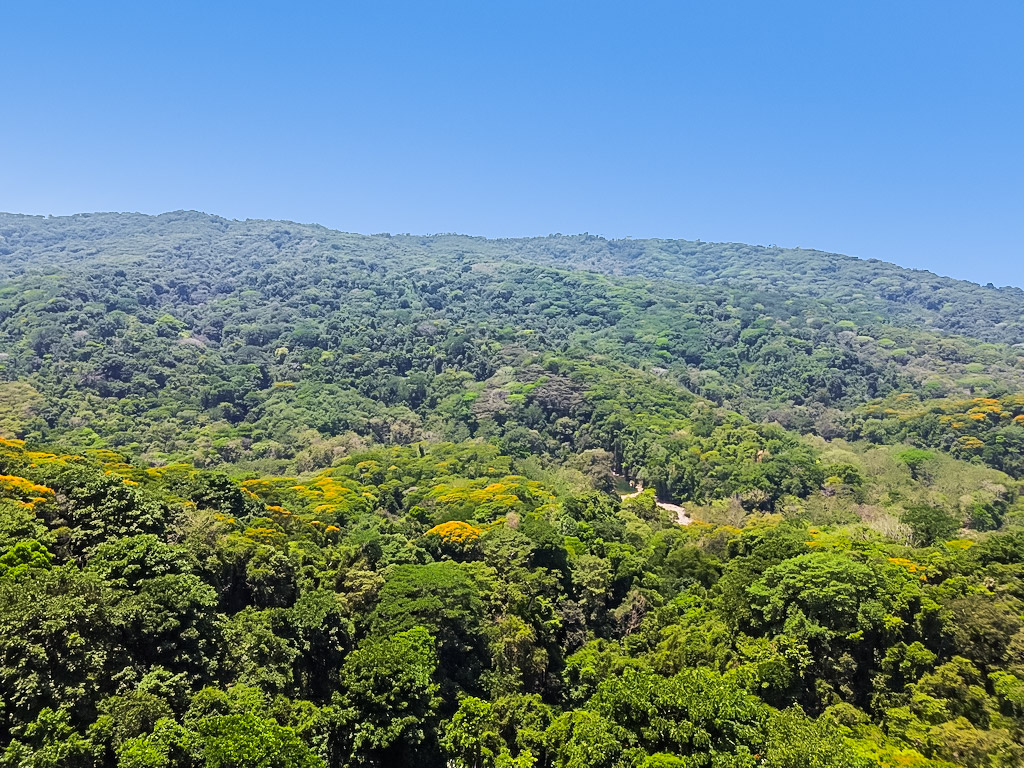 1 bed Single Family Homes For Sale in Dominical, Puntarenas - thumb 3