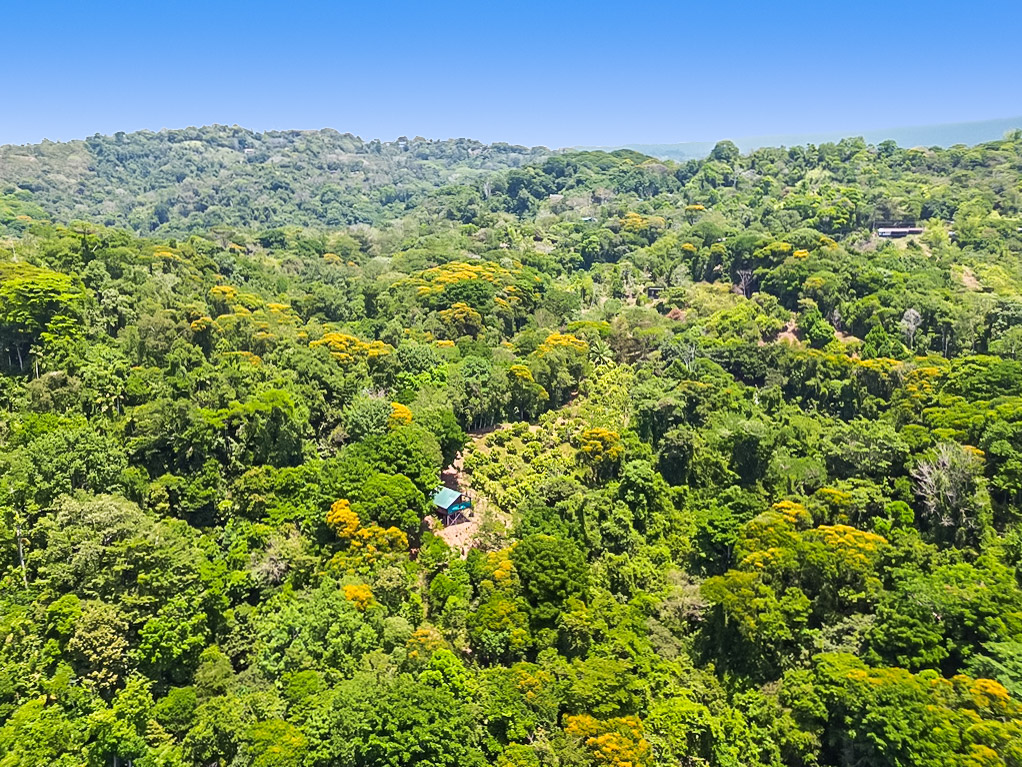 1 bed Single Family Homes For Sale in Dominical, Puntarenas - thumb 11